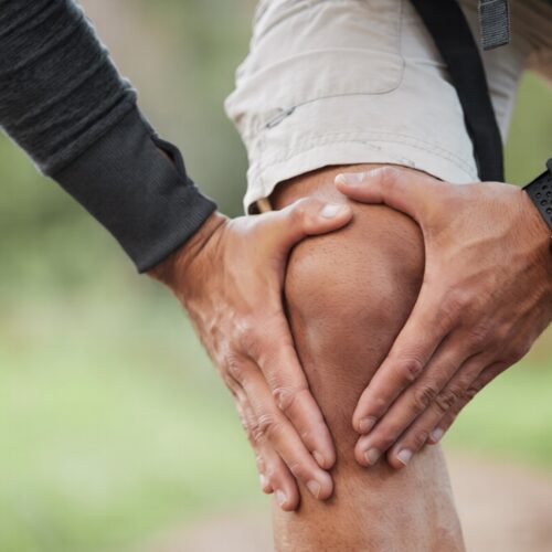 Locking and Unlocking of Knee Joint