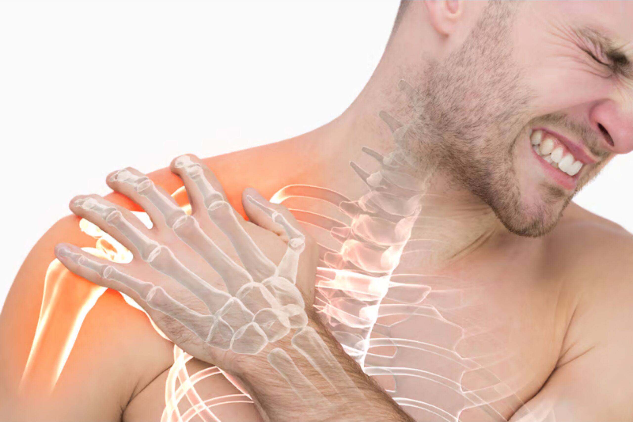 Shoulder Joint Ligaments Explained: Structure, Function, and Common Injuries
